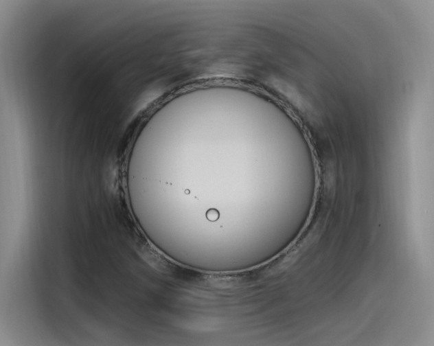 X0000115241258200911061140