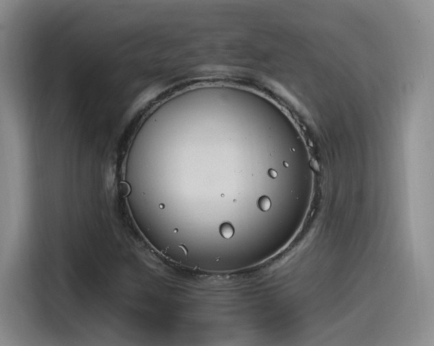 X0000115241259200911061140