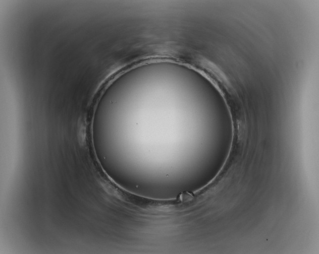 X0000115241260200911061140