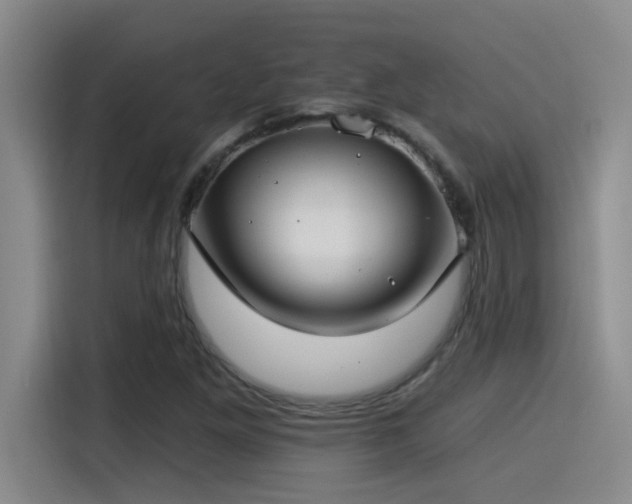 X0000115241261200911061140