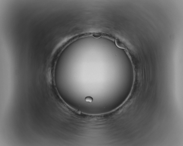 X0000115241262200911061140