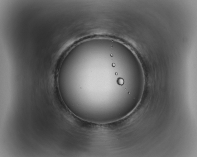X0000115241263200911061140