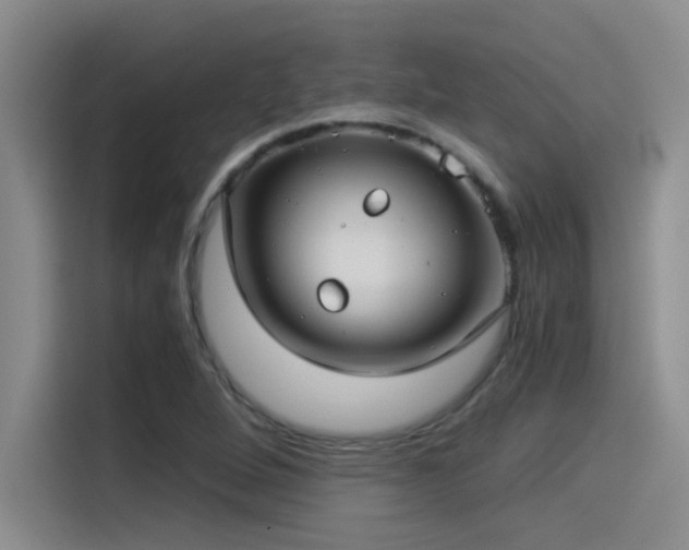 X0000115241264200911061140