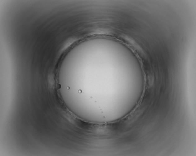 X0000115241266200911061140