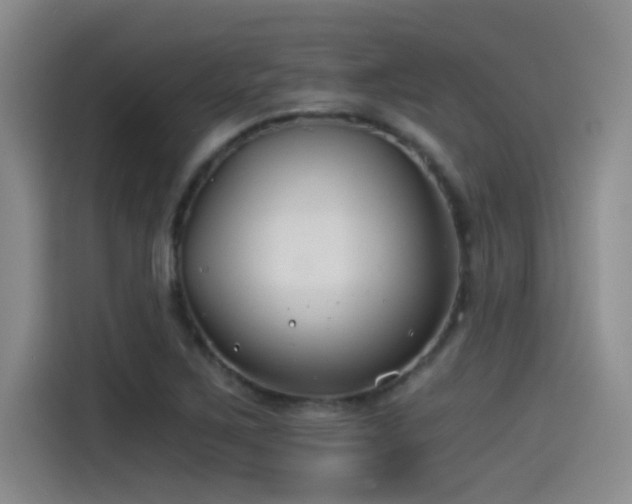 X0000115241267200911061140
