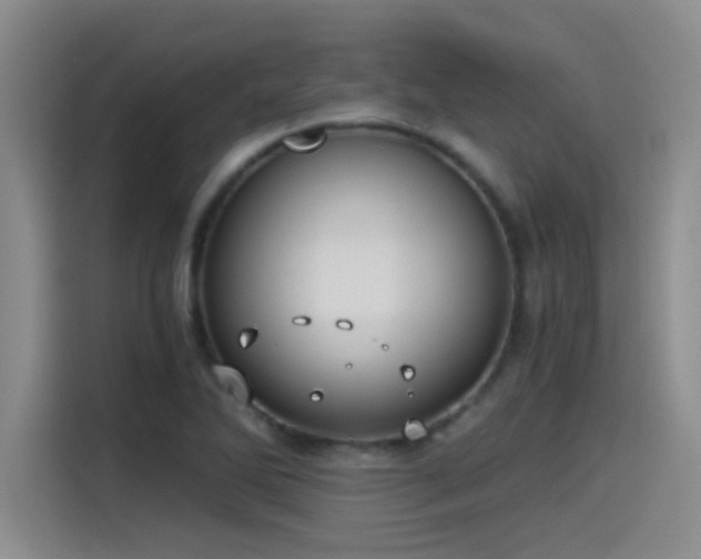 X0000115241270200911061140