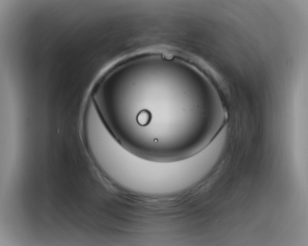 X0000115241272200911061140