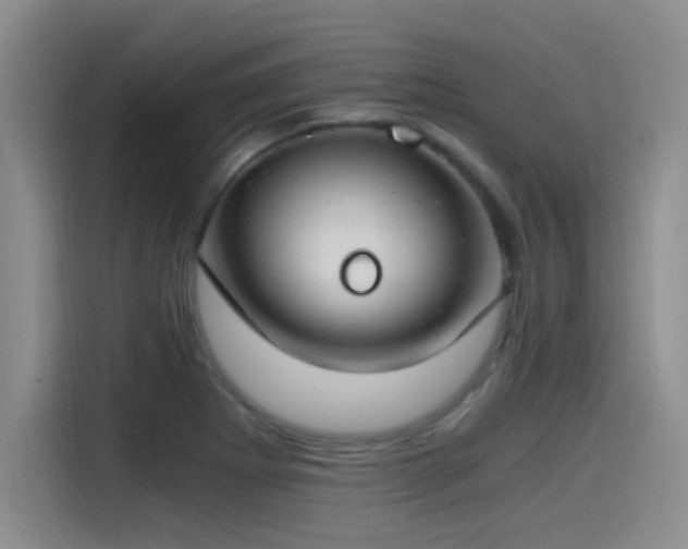 X0000115241273200911061140