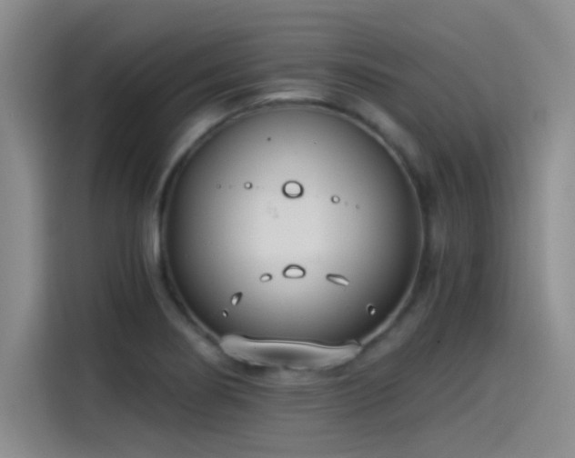 X0000115241274200911061140