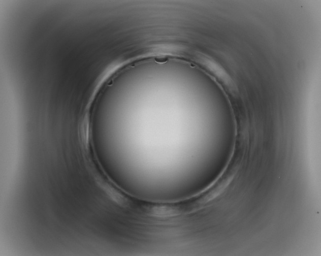 X0000115241275200911061140