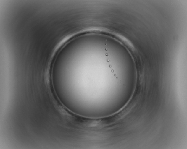 X0000115241279200911061140