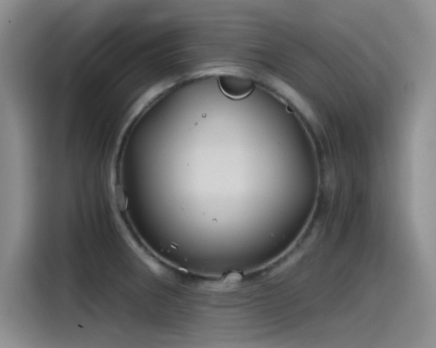 X0000115241282200911061140