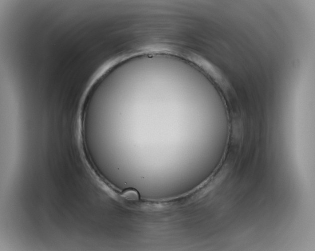 X0000115241286200911061140