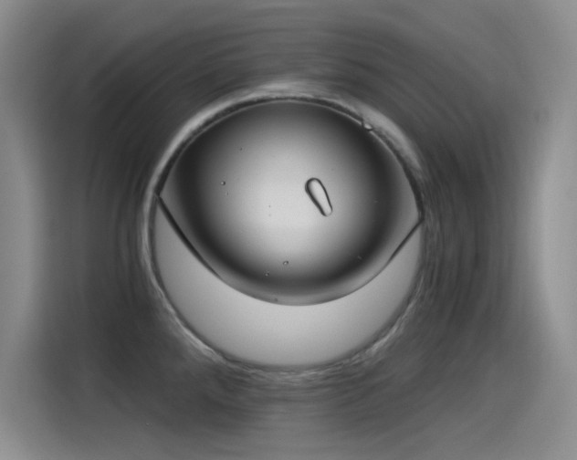 X0000115241288200911061140