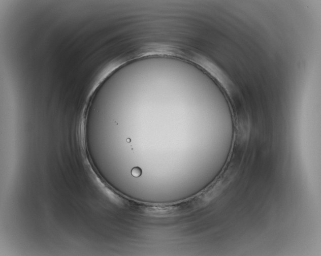 X0000115241290200911061140