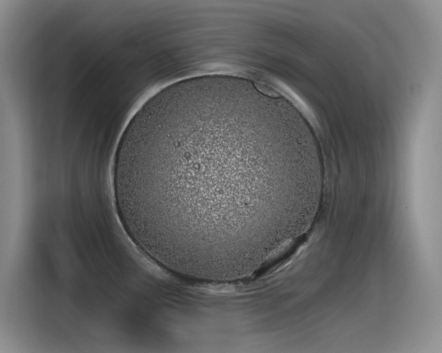 X0000115241291200911061140