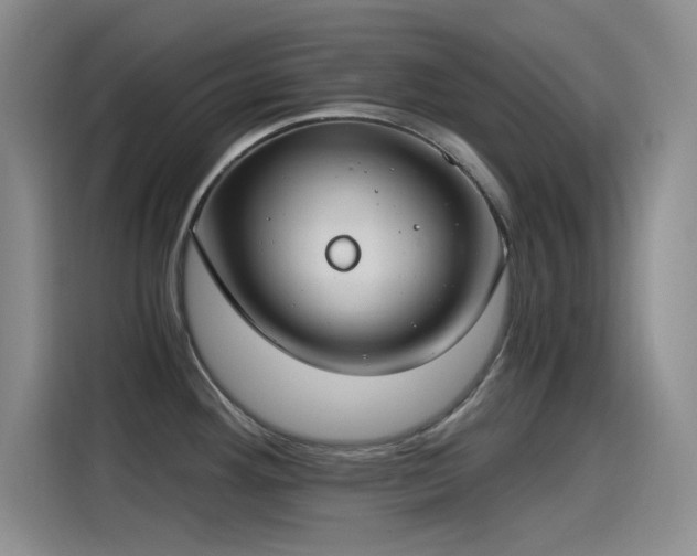 X0000115241292200911061140