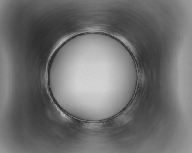 X0000115241294200911061140