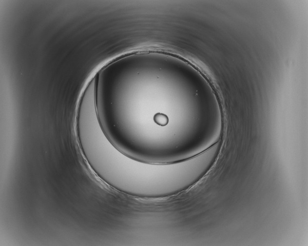 X0000115241296200911061140