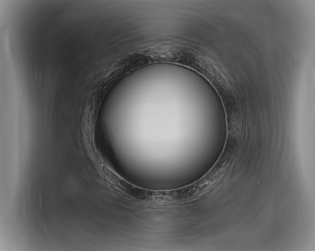 X0000115241297200911061139