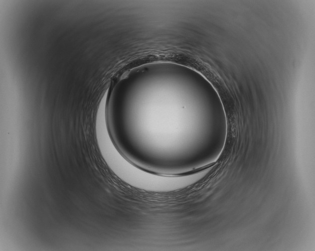 X0000115241298200911061139
