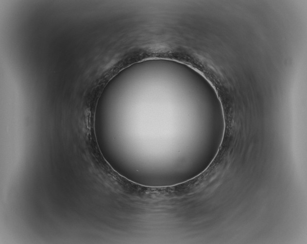 X0000115241301200911061139