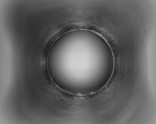 X0000115241302200911061139