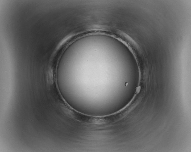 X0000115241310200911061139
