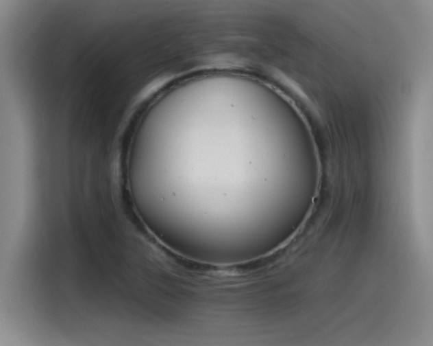 X0000115241315200911061139