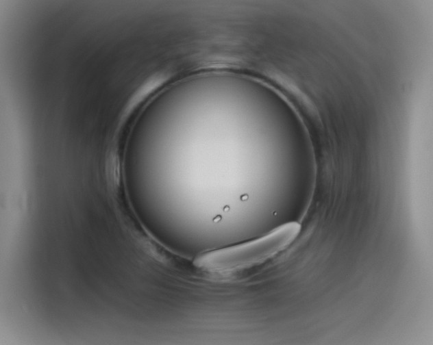X0000115241317200911061139