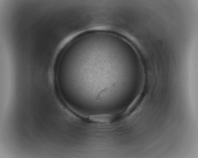 X0000115241319200911061139