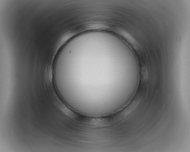 X0000115241322200911061139