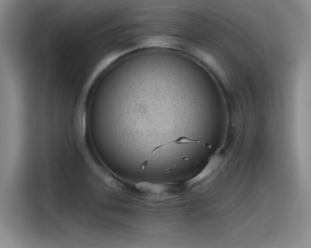 X0000115241323200911061139