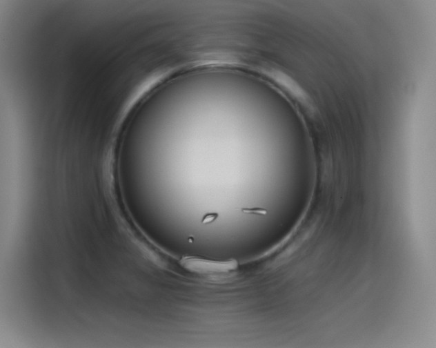 X0000115241325200911061139