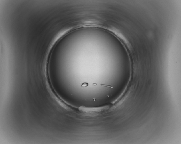 X0000115241333200911061139