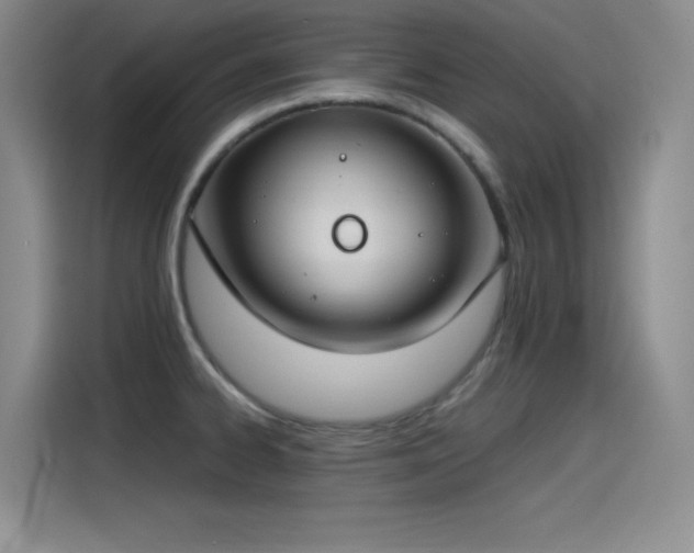 X0000115241334200911061140