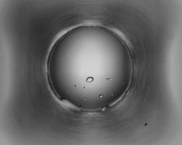 X0000115241335200911061140