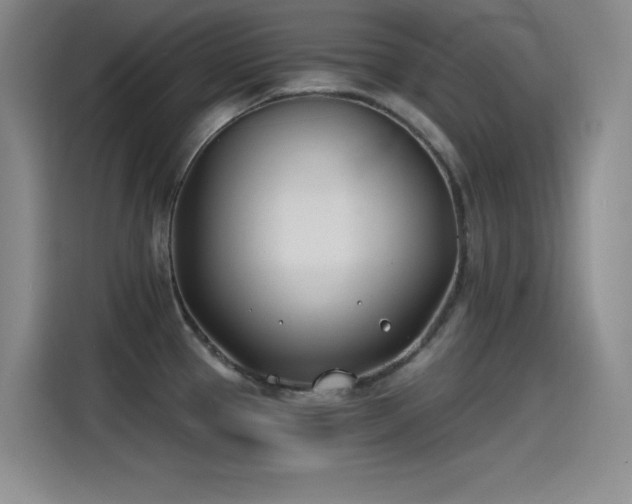 X0000115241337200911061140