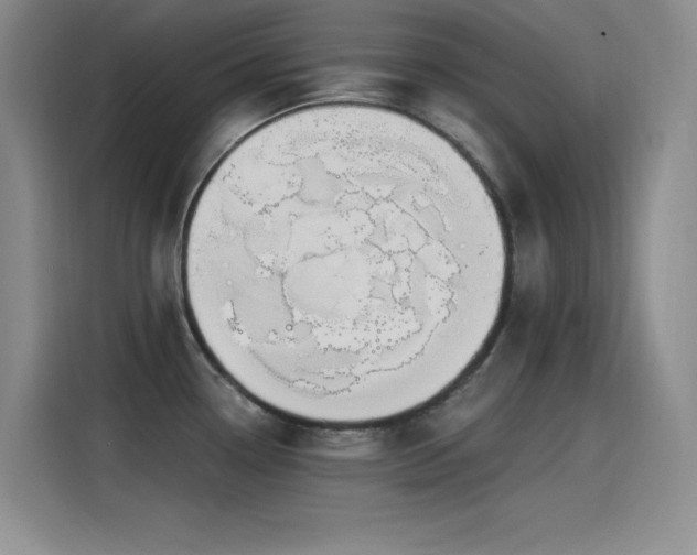 X0000115241338200911061140
