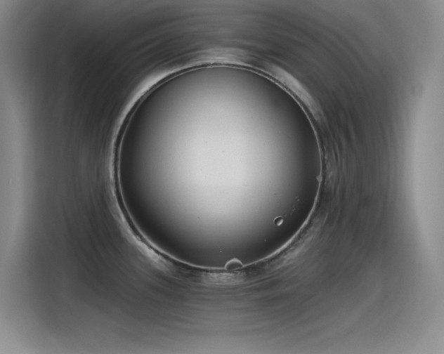 X0000115241339200911061140