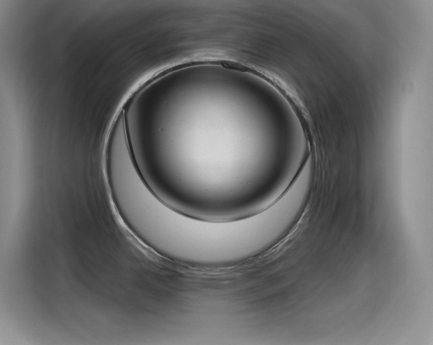 X0000115241342200911061140