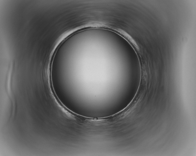 X0000115241343200911061140