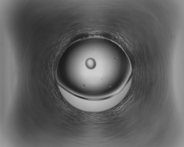 X0000115241345200911061139