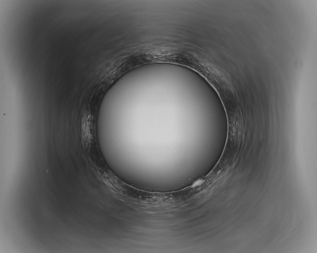 X0000115241346200911061139