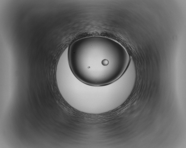 X0000115241348200911061139
