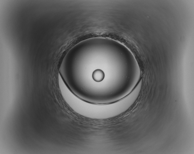 X0000115241349200911061139