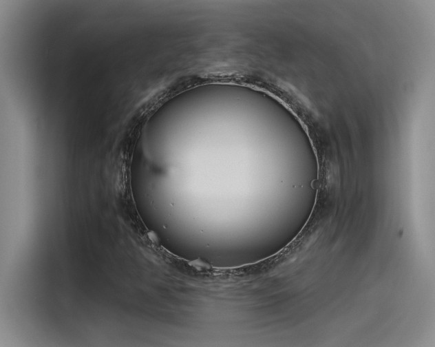 X0000115241350200911061139