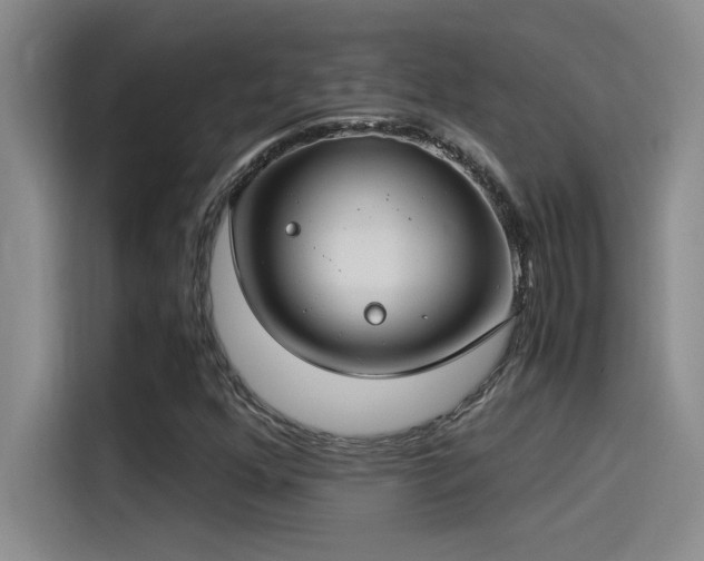 X0000115241352200911061139