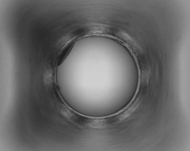 X0000115241353200911061139