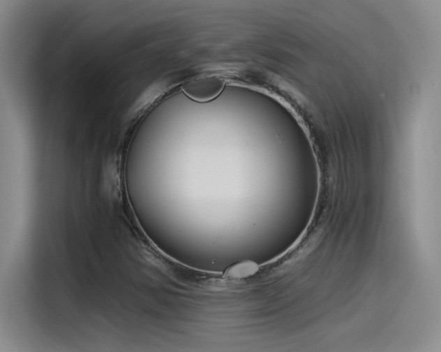 X0000115241354200911061139